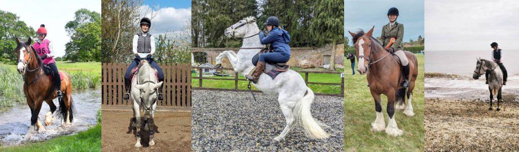 Champion Equestrian